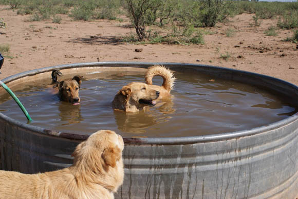 Cooling off!