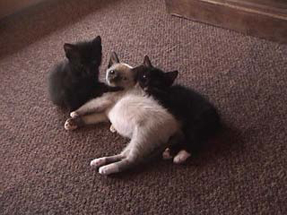 New Friends!