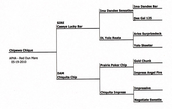 Chipewa Chique's Pedigree