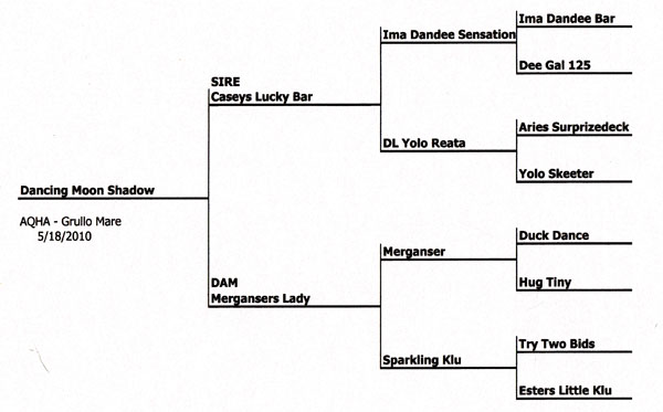 Dancing Moon Shadow's Pedigree