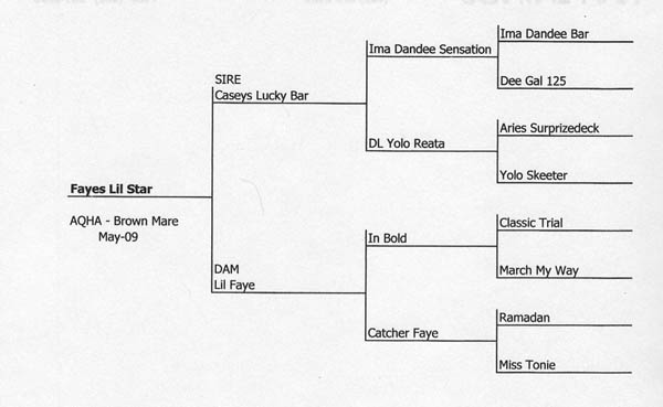 Fayes Lil Stars's Pedigree