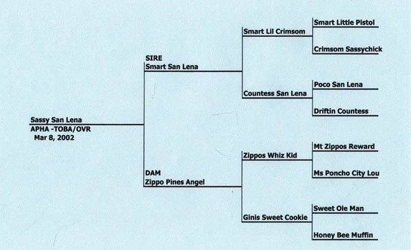 Sassy San Lena's Pedigree