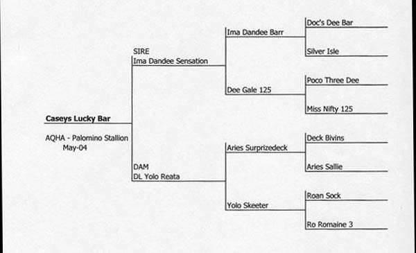 Casey Lucky Bar's Pedigree